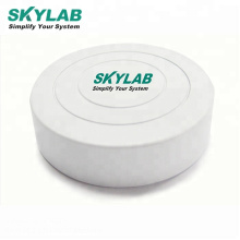 SKYLAB Small Ble Beacon to Eddystone iBeacon UUID Major Minor Programmable Long Broadcasting Distance Beacon